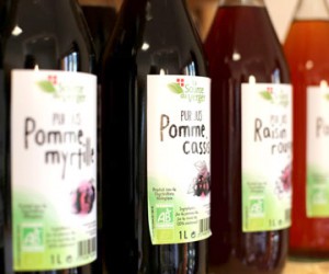 pur jus de fruit source du verger